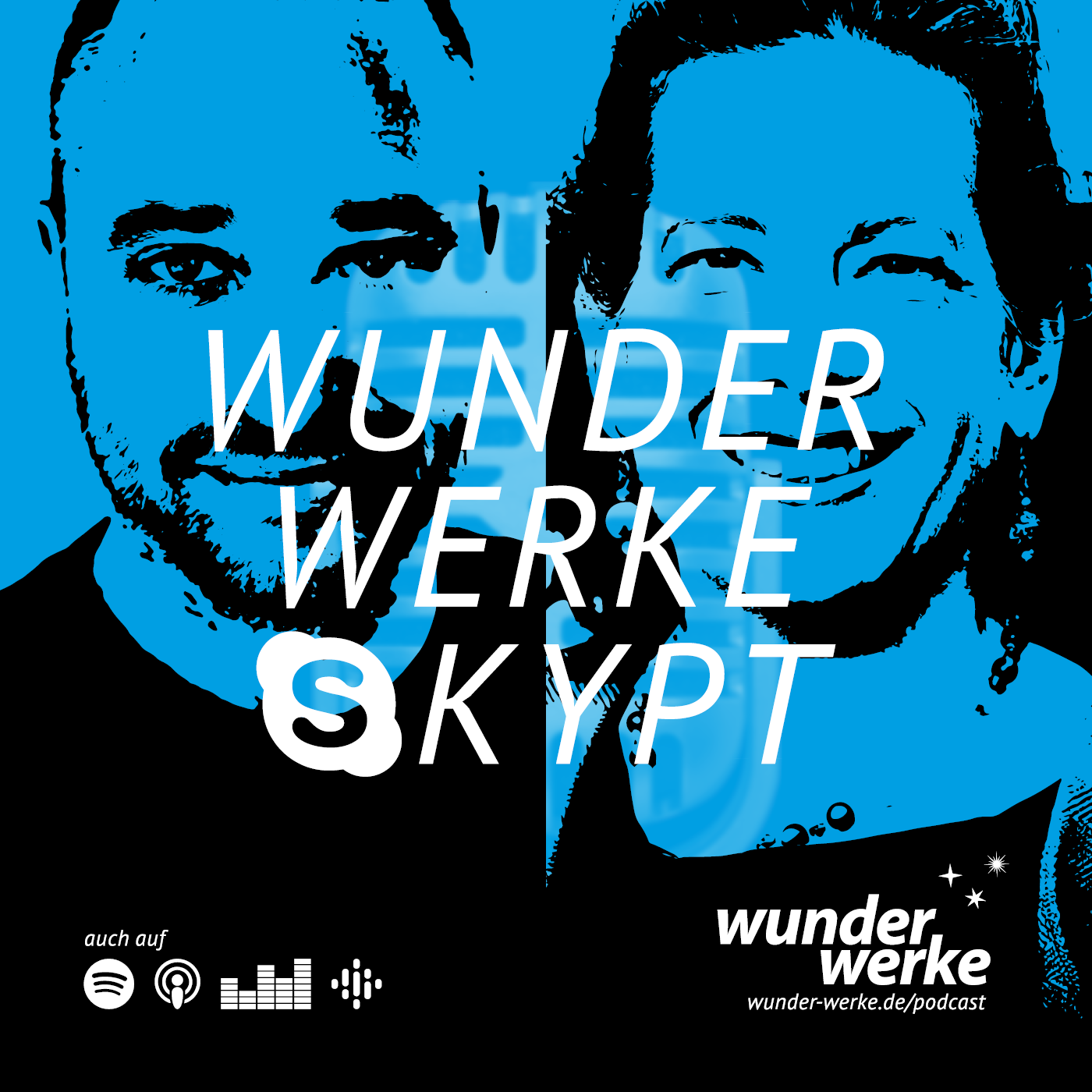WUNDERWERKE SKYPT mit Friederike Meißner